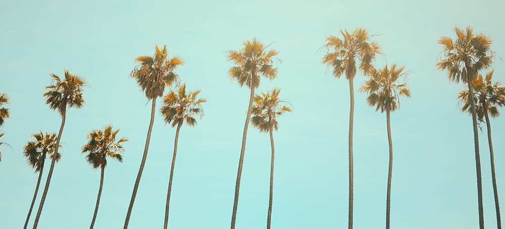 The Ultimate Guide to a Weekend in Los Angeles